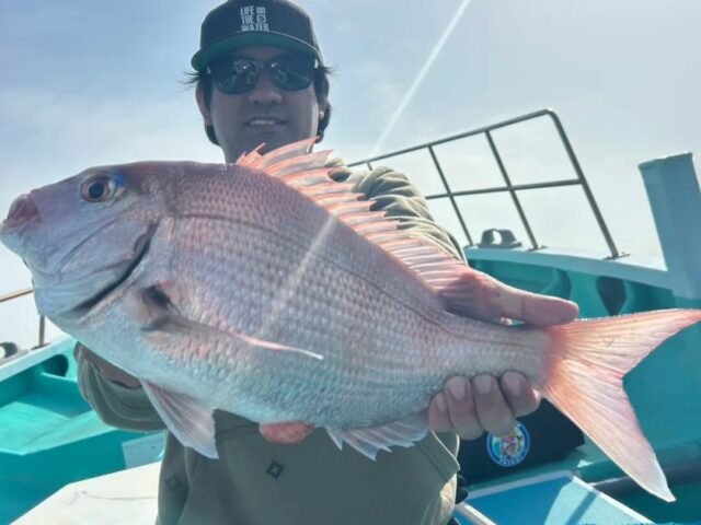 午前マダイ
魚探とにらめっこ時間長め…
反応あってもまぁ喰わない！笑
泳いでる餌見てそう。
タイラバとか一つテンヤとかやったら面白そう笑
ベイト反応もあちこちにありますんでいろんな事ができそう笑
今後も楽しみですね♪

https://ryokuryu2.com/
↑ホームページ

☆LINE公式アカウント☆
↑登録お願い致します！

#公式アカウント
#登録お願いします 

釣り物各種⇩リクエストお待ちしております！

#アオリイカ　#ティップラン
#ホワイトモンスター　#春イカ
#アカムツ　#中深海
#ベニアコウ　#アブラボウズ
#マダイ
#アマダイ
#コマセ五目
#他リクエスト
お気軽にお問い合わせください！

#岩港　#緑龍丸　#釣り