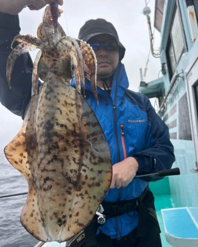 デカ雌〜
去年のモンスター１発目の日付は今日です♪
こっから始まるのかな？

あとは岩前はベイトだらけ！
これつかって…笑
マゴチオオモンも来てるんじゃない？？
あると思います！
チャレンジャーお待ちしております！

https://ryokuryu2.com/
↑ホームページ

☆LINE公式アカウント☆
↑登録お願い致します！

#公式アカウント
#登録お願いします 

釣り物各種⇩リクエストお待ちしております！

#アオリイカ　#ティップラン
#ホワイトモンスター　#春イカ
#アカムツ　#中深海
#ベニアコウ　#アブラボウズ
#マダイ
#アマダイ
#コマセ五目
#他リクエスト
お気軽にお問い合わせください！

#岩港　#緑龍丸　#釣り